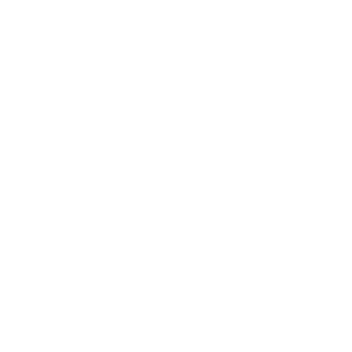 Belfast International Airport Logo
