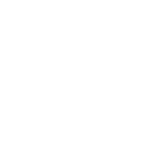 Platinum Logo